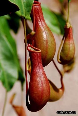 �i�\�ݱ���������Ј�