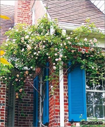 ���ܷNֲ�ЌW�� ��Ҫ���õ��x���m��"ס��"