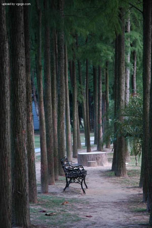 ����ɭ�� �F(xi��n)���˵ĉ���