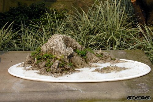 �ؑc��ɽֲ��@�辰�@��(n��i)�辰