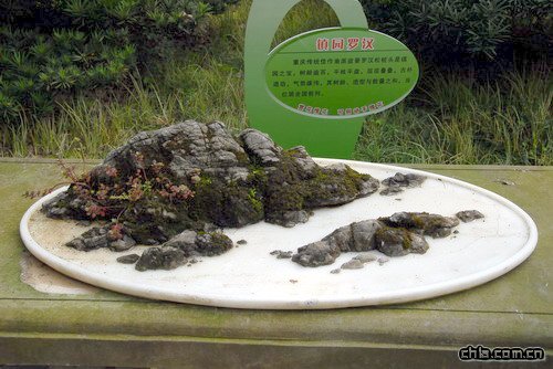 �ؑc��ɽֲ��@�辰�@��(n��i)�辰