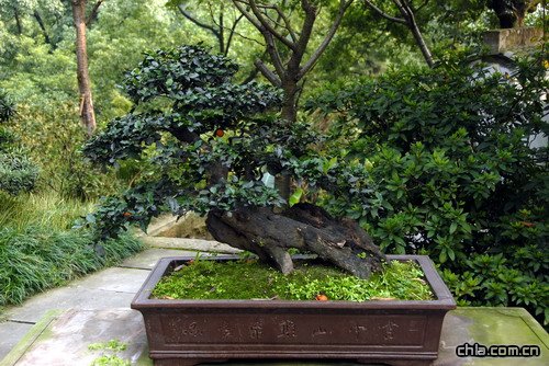 �ؑc��ɽֲ��@�辰�@��(n��i)�辰