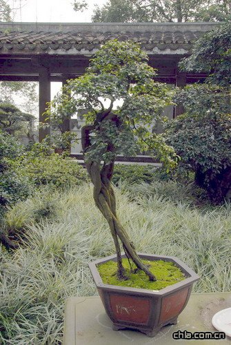 �ؑc��ɽֲ��@�辰�@��(n��i)�辰