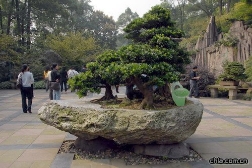 �ؑc��ɽֲ��@�辰�@���辰