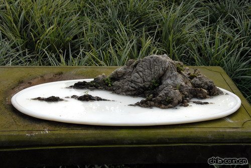 �ؑc��ɽֲ��@�辰�@���辰