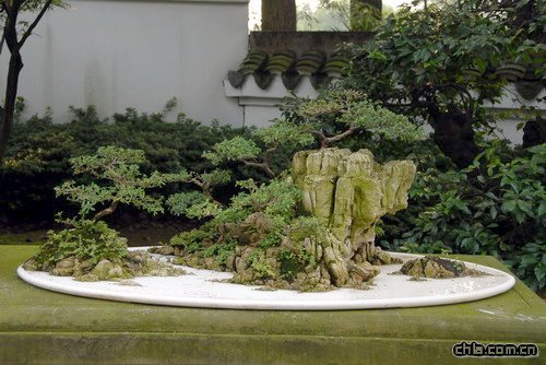 �ؑc��ɽֲ��@�辰�@���辰