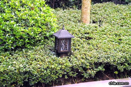 �ؑc������A��