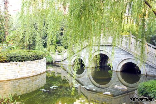 �ؑc������A��