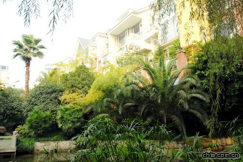 �ؑc������A��