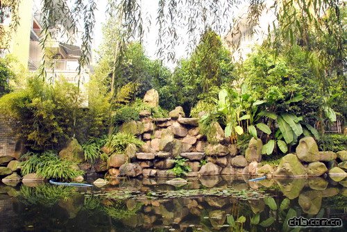 �ؑc������A��