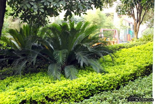 �ؑc������A��