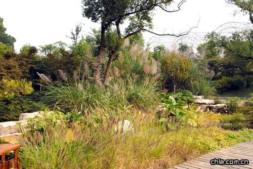 �ؑc��ɽֲ��@