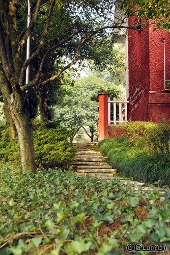 �ؑc��ɽֲ��@