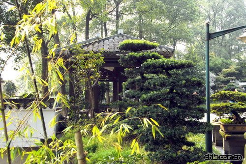 �ؑc��ɽֲ��@