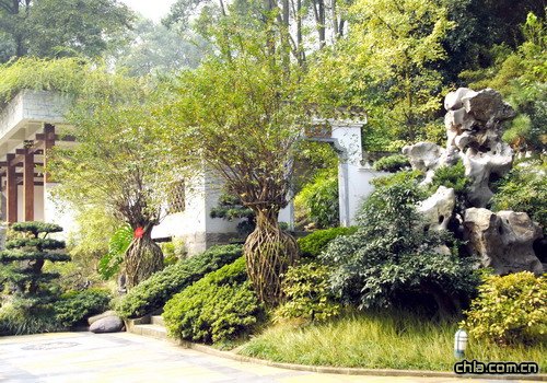 �ؑc��ɽֲ��@