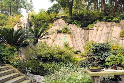 �ؑc��ɽֲ��@