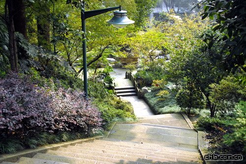 �ؑc��ɽֲ��@