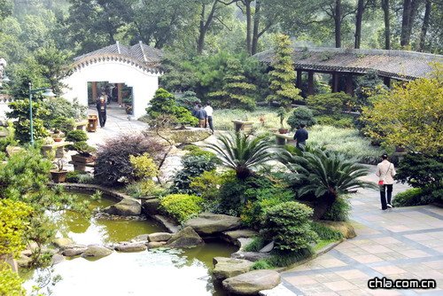 �ؑc��ɽֲ��@