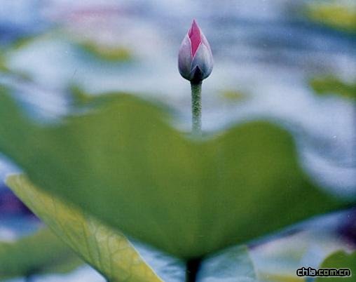 ���˺��L(f��ng)