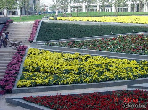 �������ڽ����빫�@���^����