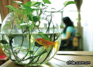 �k������Ļ�������