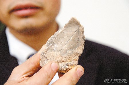 ����l�Fֲ�ﻯʯȺ ���������3�f��5�f��