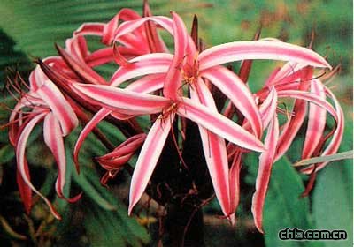 �t�������m