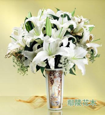 �Զ���ֲ��