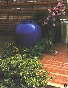 6ꖹ���к��^