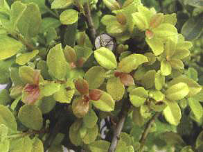 ���~���׶���