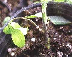 �o������