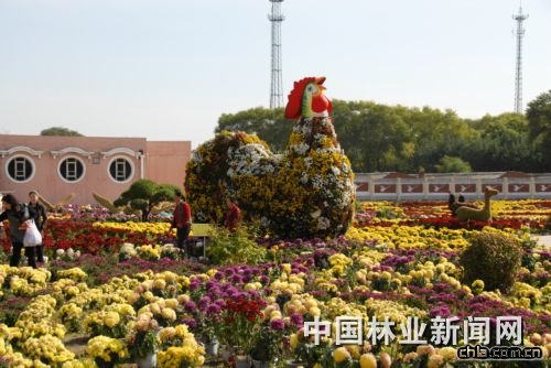 ��ľ˹�׌þ�չ������