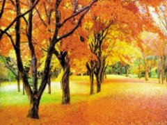 �ձ���ʿɽ �t�~������