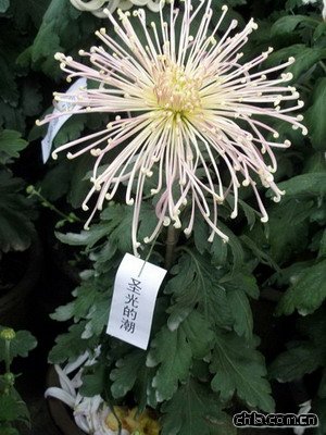 �������@�e�k�ڶ�ʮ�Ōþջ�չ