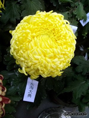 �������@�e�k�ڶ�ʮ�Ōþջ�չ