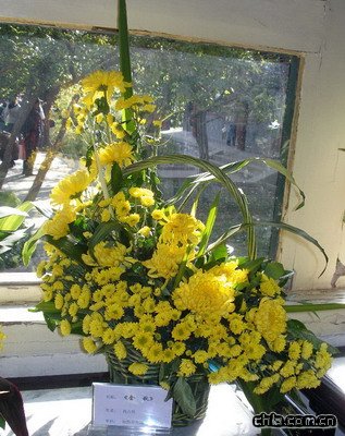 �������@�e�k�ڶ�ʮ�Ōþջ�չ