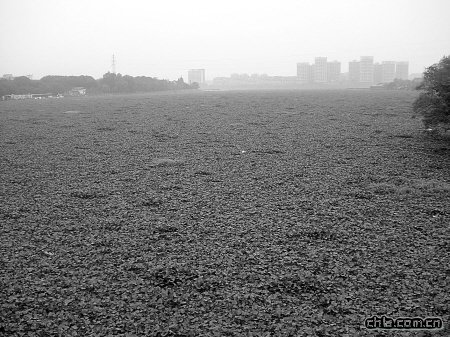 ����Ҧ��ˮ���J���E