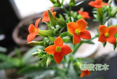 �L�ۻ��B�o����(�D)