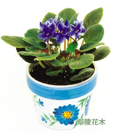 �ﶬ���Ի��ܹ������g(sh��)ժҪ(�D)