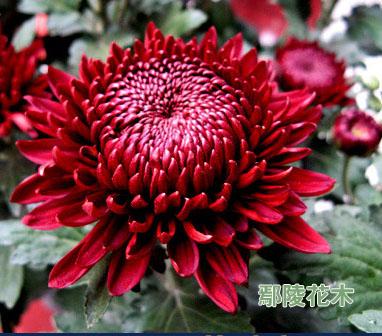 �ջ�����̎�����g(sh��)(�D)