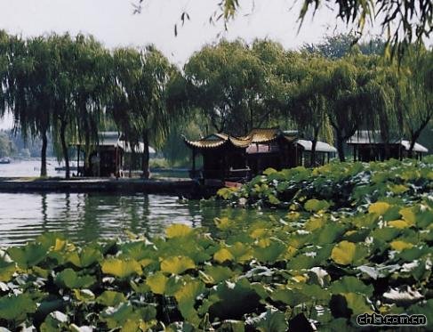 ������̎ͣ����