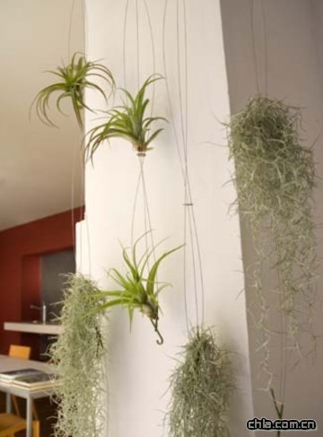 �Gɫ�����������҃��^�~ֲ��