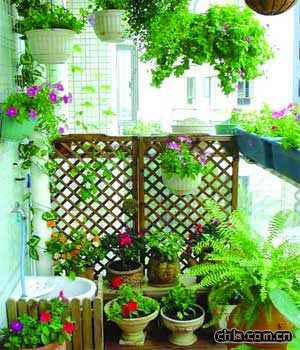 ����׌��_׃���ܰ��С����