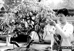 ����辰��׃�U�錚��