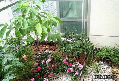 �B(y��ng)�����Կ�˥��