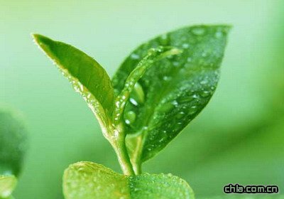 �҃��B���x�񲻮� ������҃���Ⱦ