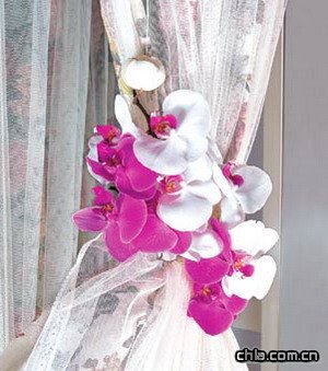 �����ɲ廨 ׌��Ư����λ