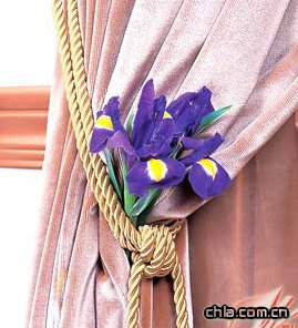 �����ɲ廨 ׌��Ư����λ