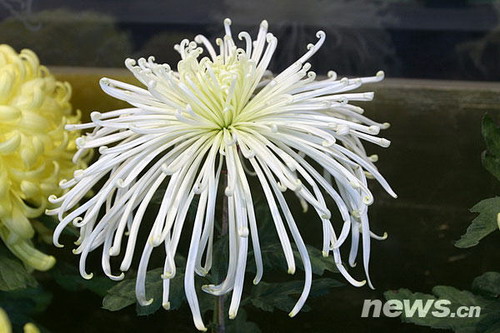 �ջ�Ʒ�N��������֮��