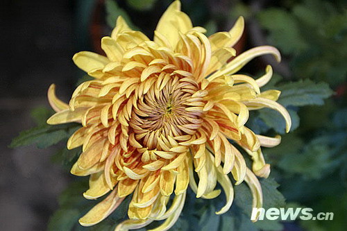 �ջ�Ʒ�N�������AȾ��